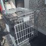 Small dog cage Image 4
