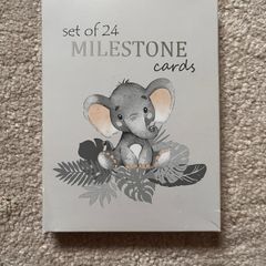 Baby milestone cards