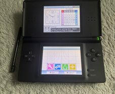nintendo ds lite