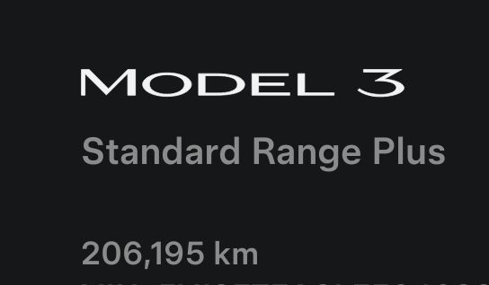 2020 Tesla Model 3