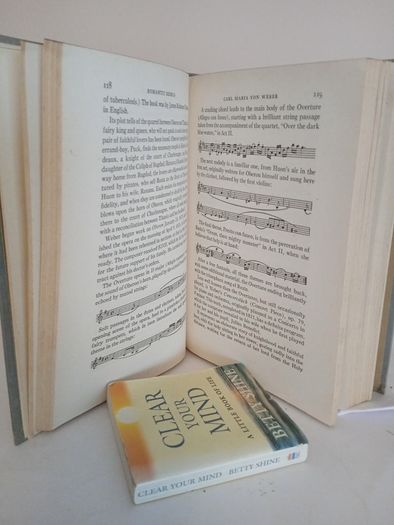 A Guide to Great Orchestral Music by Sigmund Spaeth (GT183)