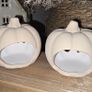 Two Mini pumpkins Image 2