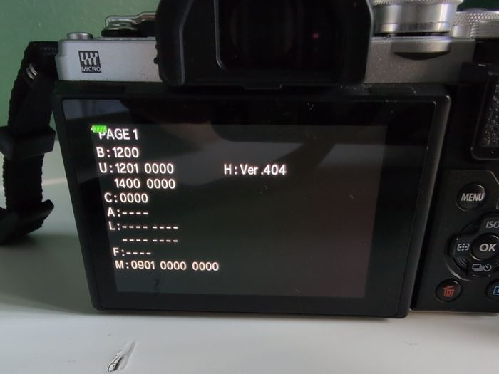 Olympus OM-D E-M10 Mark III body