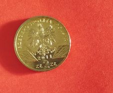 Coin Nordic Gold
