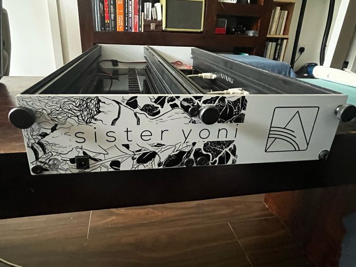 6U 96HP Powered Eurorack Case