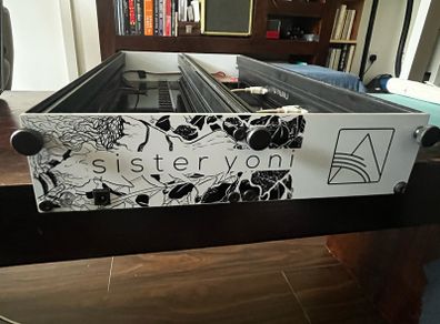 6U 96HP Powered Eurorack Case
