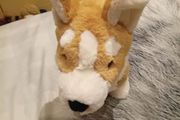Betty the Corgi Jellycat