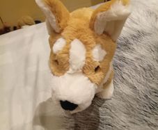 Betty the Corgi Jellycat