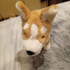 Betty the Corgi Jellycat