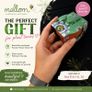 Bizzy Grow Gifts Mini Pots Image 2