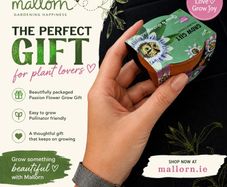 Passion Flower Grow Gift Set