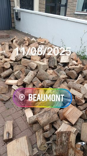 Firewood 2026