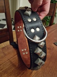Dog Collar