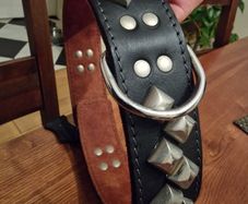 Dog Collar