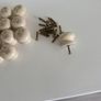 Cream knobs Image 2