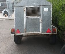 Dog trailer