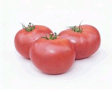 (T) Tomatoe Lillagro seeds 0.2g Indeterminant (111138)