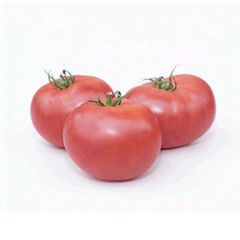 (T) Tomatoe Lillagro seeds 0.2g Indeterminant (111138)