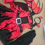 Costume Image 2