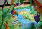 FisherPrice Rain Forest Baby Gym