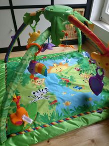 FisherPrice Rain Forest Baby Gym