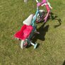 Girl's Bicycle Image 3