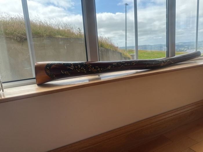 Hardwood Didgeridoo | Hand-Painted Goanna Artwork | Excellent Condition