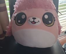 Coco squishies mishmosh