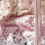Sequin Bomber Jacket 9-10 Yrs Image 3