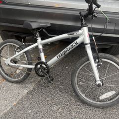 ridgeback dimension 16"