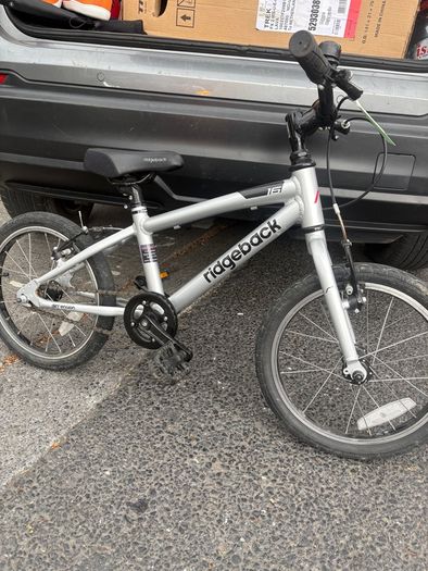 ridgeback dimension 16"