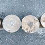 four empty brassartillery shell casings Image 4