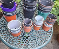 Flower Pots