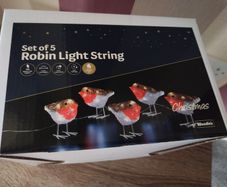 Mains Powered Christmas Robin Lights