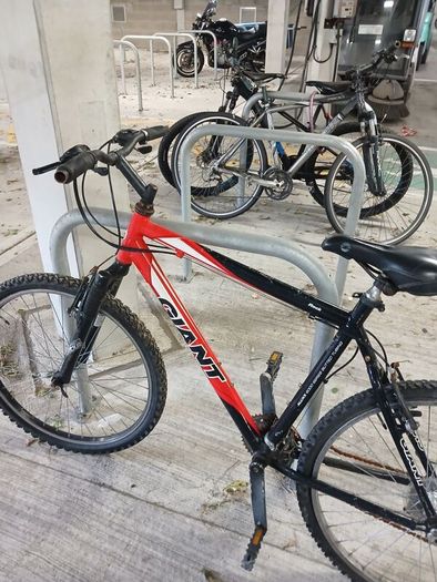 giant mountain bike