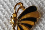 brooch