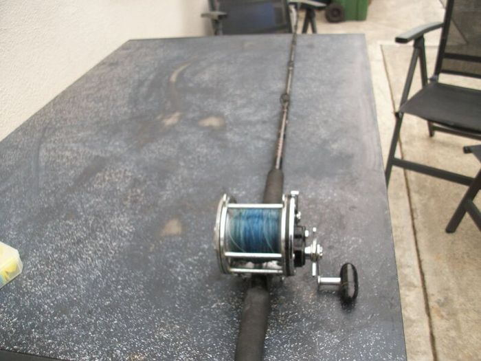 Sea Fishing Rods & Reels