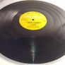 The Shaker - Strong To Survive - Ugly Bug Records - Pete SHAKER Bones CLASSIC! Image 6