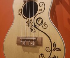Concert Ukulele + Beginners course + Full Accessory Bundle