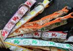 Cat collar with bell