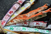 Cat collar with bell