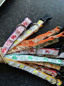 Cat collar with bell