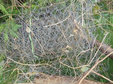 Chicken wire