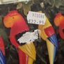 Garden Parrot String lights 2 sets Image 5