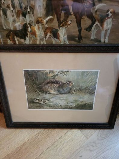 Antique picture partridge