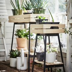 2x Plant Stand