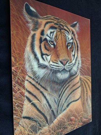 3D LiveLife Lenticular Wall Art Prints - Aloof From Deluxe Base - Unframed 3D Tiger - Size - 40cm x 30cm - RRP - 18.99
