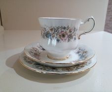 Vintage Tea Trio / Set Paragon Meadowvale Bone China