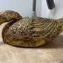 Vintage Gilded Carved Duck with coloured glass inset decoration Image 3