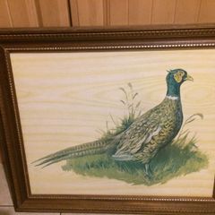 Pheasant picture framed free postage